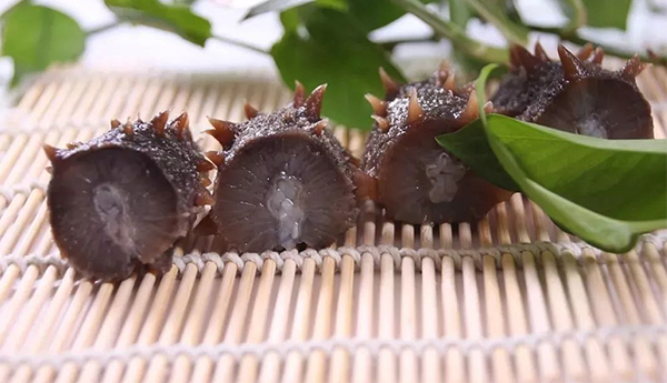 海參泡發不大的原因